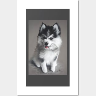 Cute Baby Husky Posters and Art